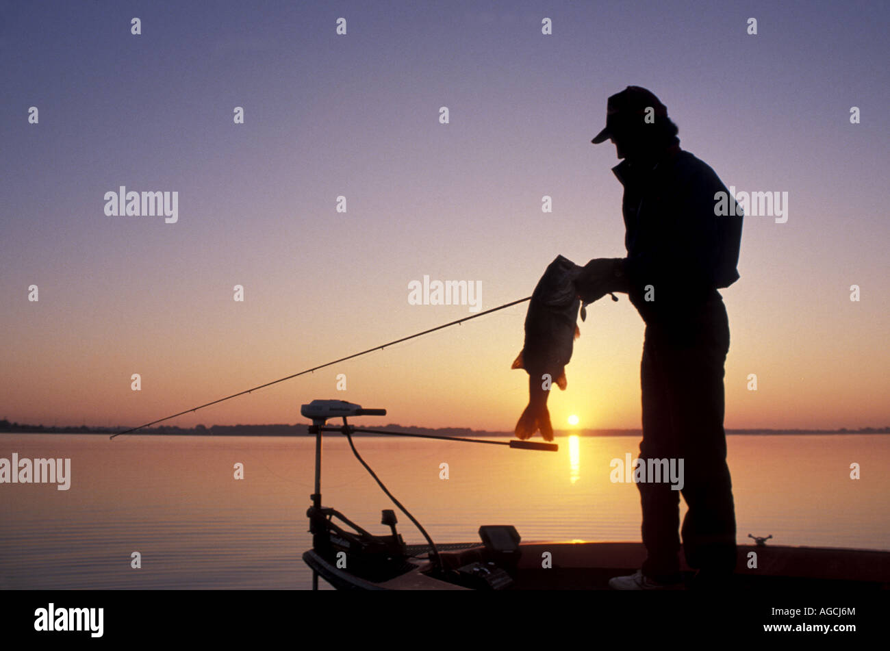 Spinnerbait（复合亮片）的叶片密码：柳叶还是科罗拉多？选错等于空军