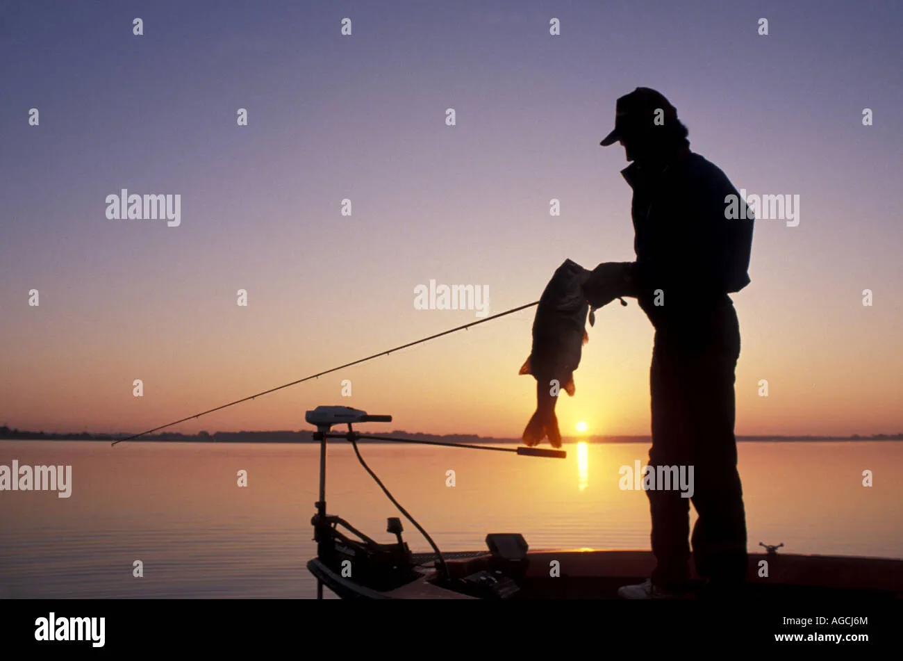 Spinnerbait（复合亮片）的叶片密码：柳叶还是科罗拉多？选错等于空军