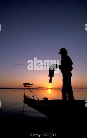 Jerkbait（抽停饵）的停顿密码：冬天找鱼的终极武器
