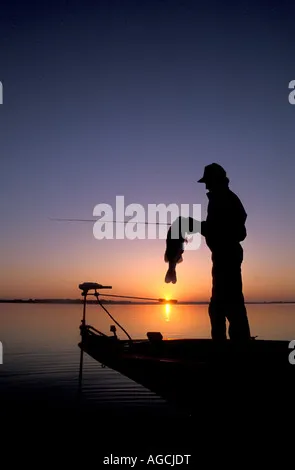 Jerkbait（抽停饵）的停顿密码：冬天找鱼的终极武器