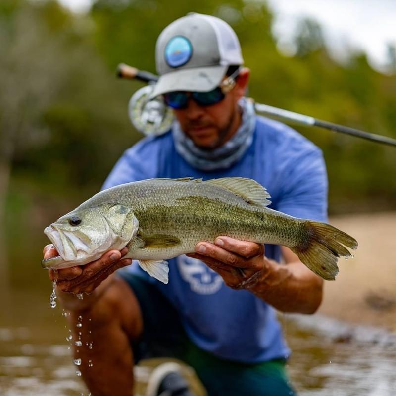 The Fall Turnover: Why You Are Struggling to Catch Bass in October