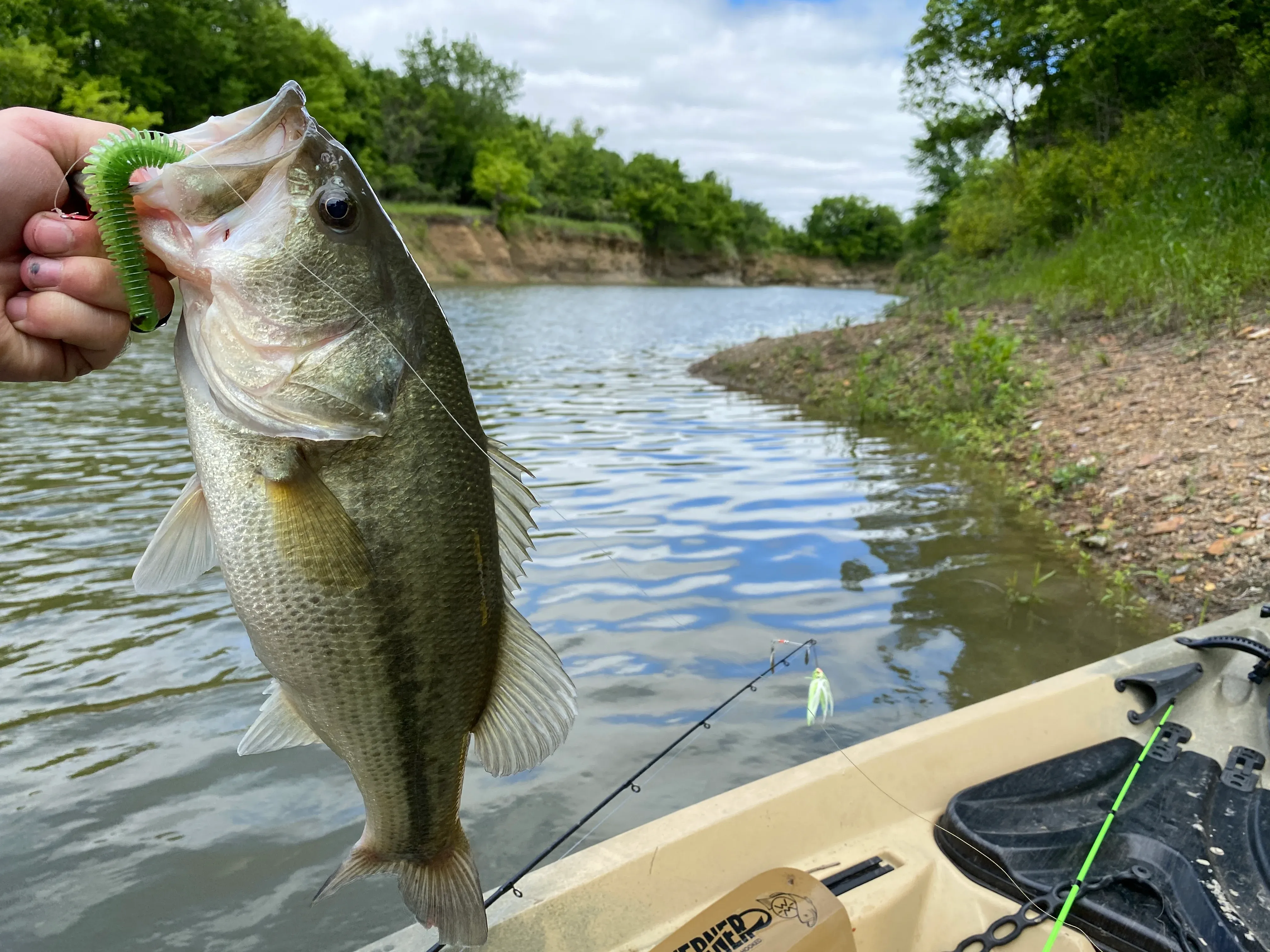The Wacky Rig Revolution: Why the Silliest Looking Rig is the Deadliest