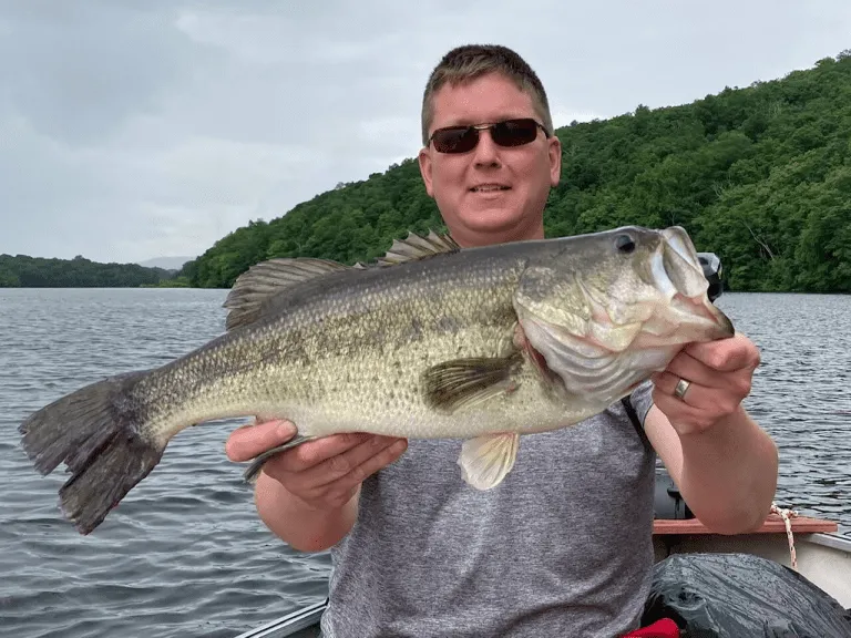The Spinnerbait Blade Guide: Willow vs. Colorado (And Why You're Using the Wrong One)