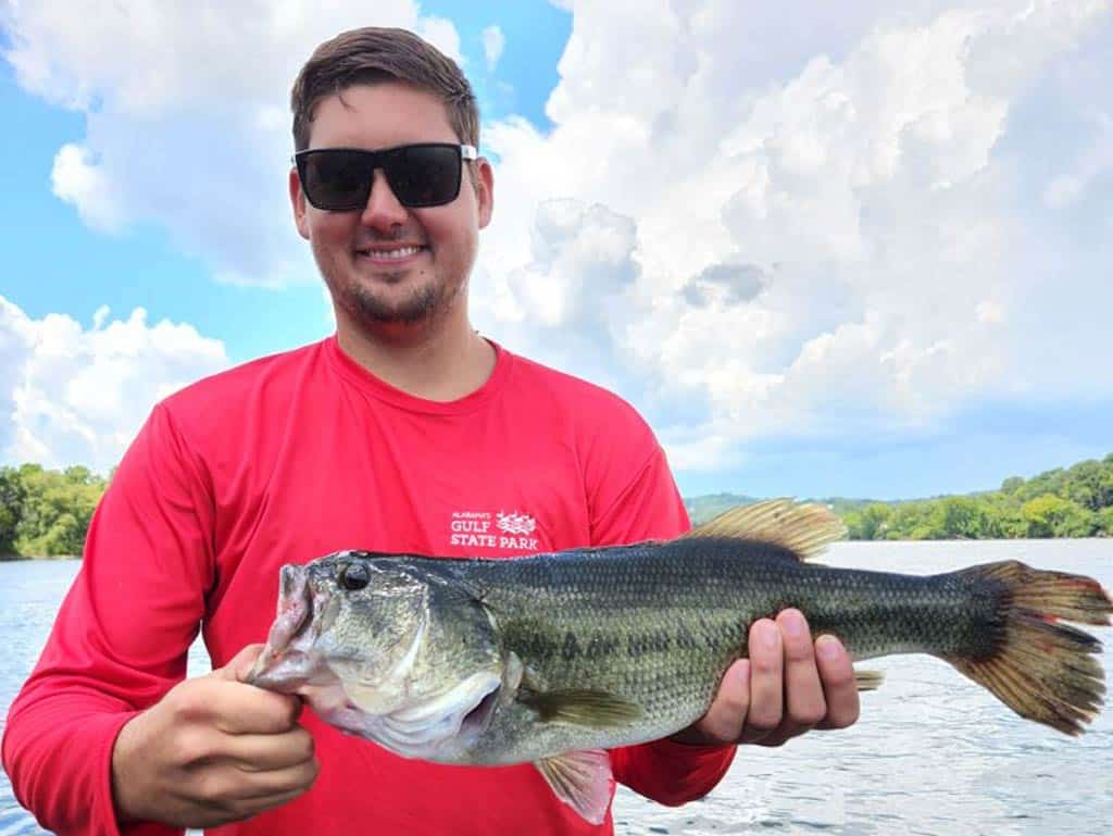 The Shaky Head Mistake: Why You're Fishing It Like a Texas Rig
