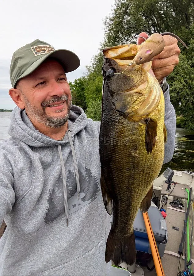 The Wacky Rig O-Ring Scam: Why A Single Ring is Costing You Fish
