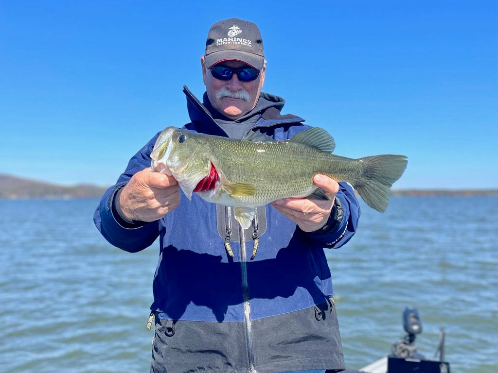 Soft Plastic Toads vs. Hollow Body Frogs: Know the Difference Before You Cast