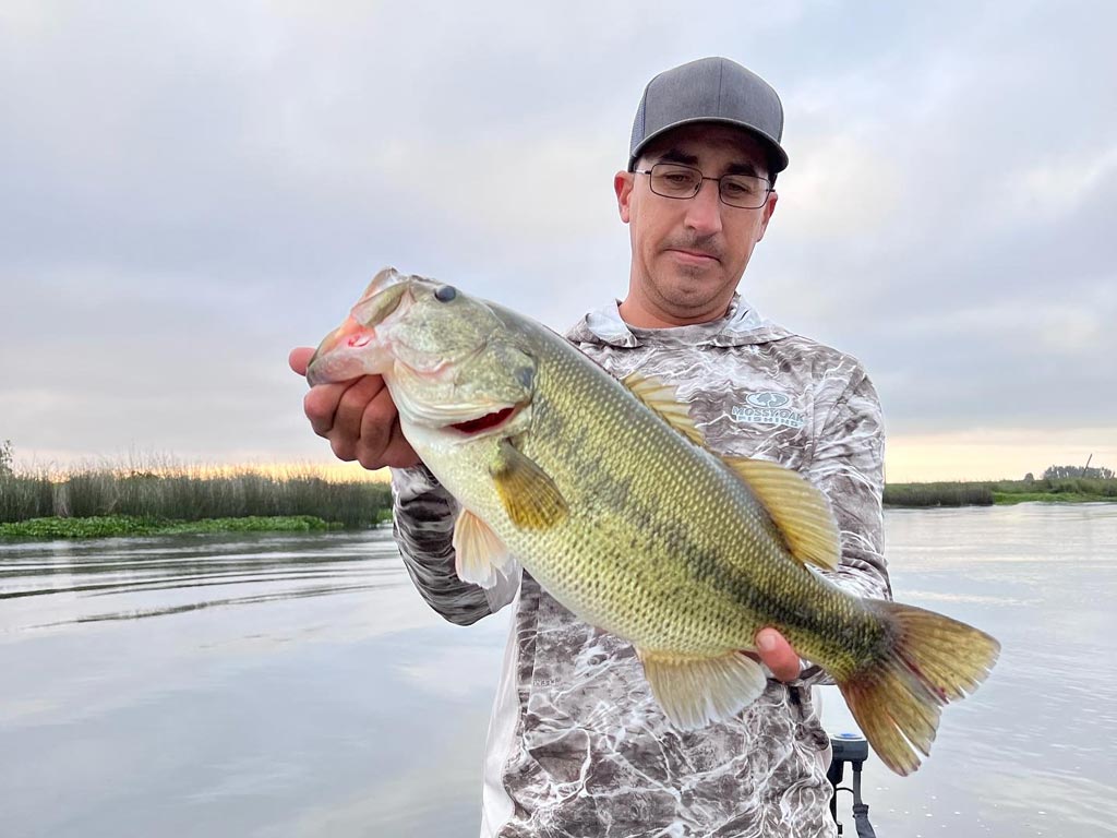 The Drop Shot Leader Mistake: Why Your 12-Inch Rule is Costing You Fish