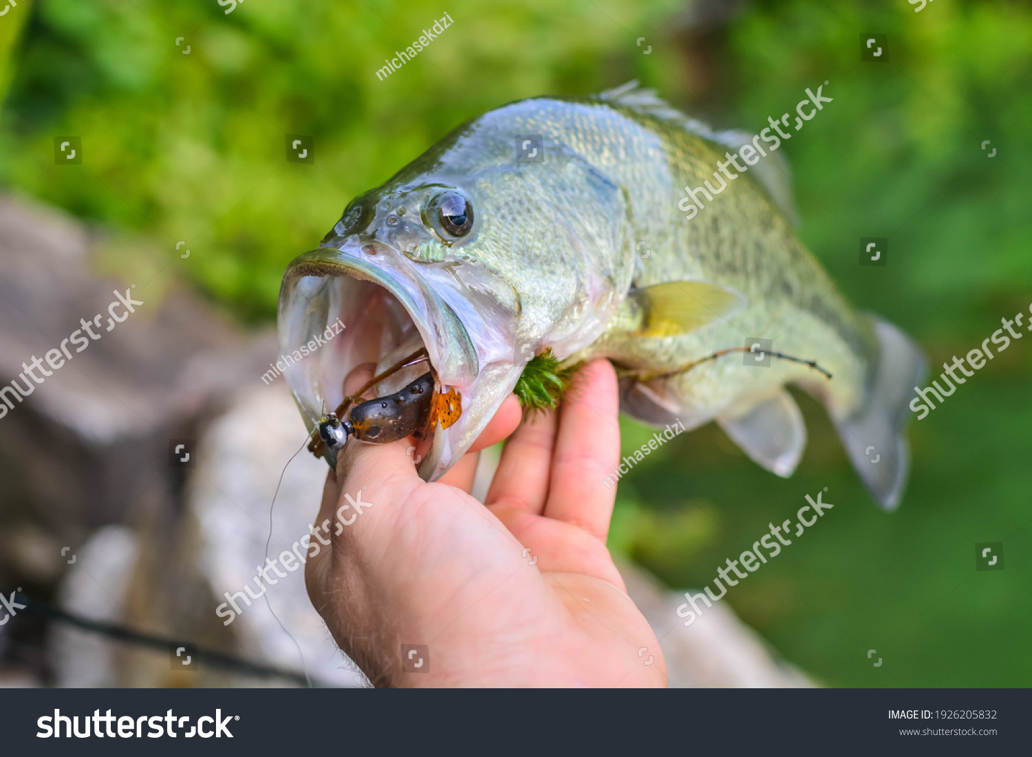 Bank Fishing 岸钓 Bass：别被网上的“神仙轮”忽悠了，新手选纺车轮只看这三点